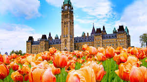 Tulip Festival